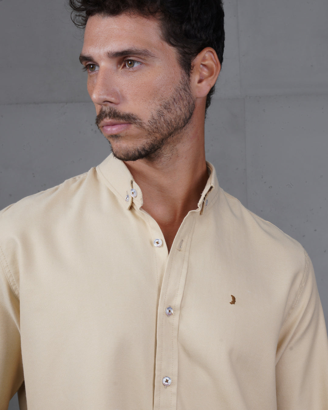 Beige Long Sleeve Cotton Shirt