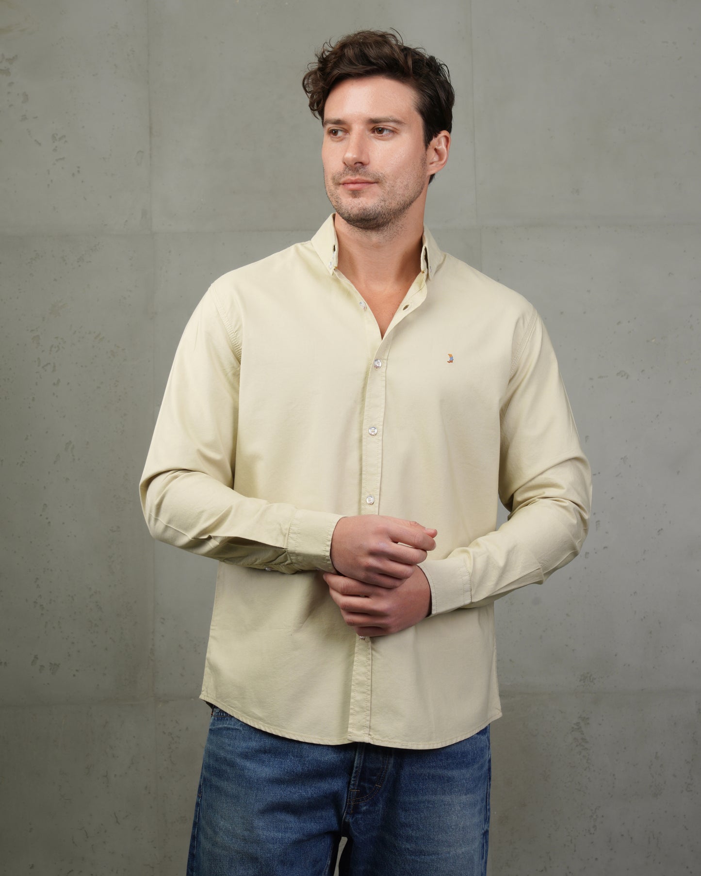 Beige Oxford Cotton Shirt
